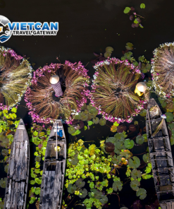 [MN02_VCTNĐ] TRA SU Cajuput Forest – CAN THO – “SOUTHERN FOREST LAND” FILM SET CHECK-IN TOUR