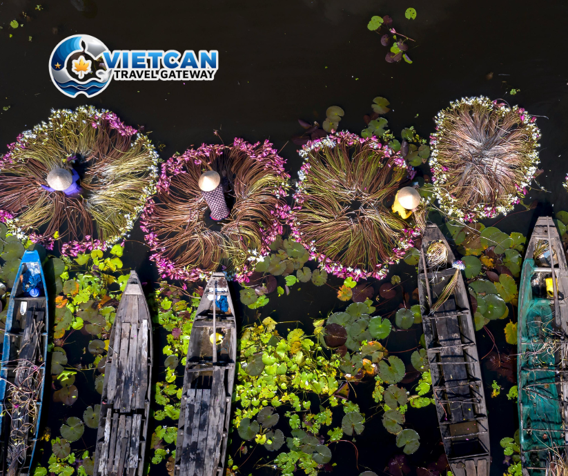 [MN02_VCTNĐ] TRA SU Cajuput Forest – CAN THO – “SOUTHERN FOREST LAND” FILM SET CHECK-IN TOUR