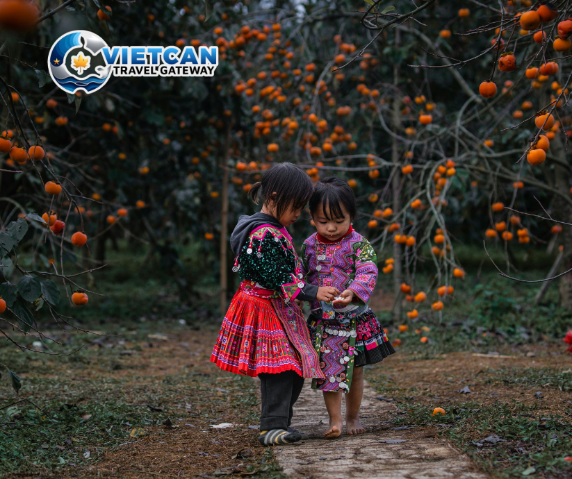 [MB03_VCTNĐ] HO CHI MINH CITY – HANOI – HA LONG – NINH BINH – TAM CHUC – MOC CHAU – MAI CHAU TOUR