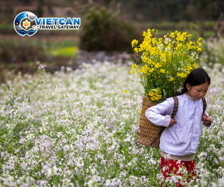 [MB01_VCTNĐ] HO CHI MINH CITY – HA GIANG – DONG VAN – CAO BANG – BAN GIOC WATERFALL – LANG SON TOUR